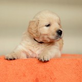 98a68a0262b782336faed35e7958d178_160x160_fill