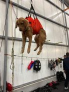 98c2692bc8c5dce7b94eab2122f3b331_138x184_fill