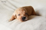 98f191f1f006935cd057f618052c2d2a_195