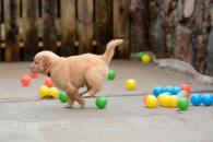 99078738a783b6f0a597c97a5f098fad_195