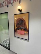 9941416828aee4a1d0c8d927c6805aeb_138x184_fill