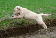 99e9085f725c1e5a7d9b09ebb1af0086_194