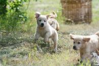 99ece134a8ff66701aa2dfa94db0f293_195