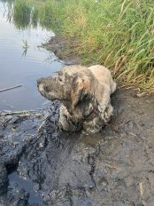 9a0b43ae17c8bacab782926efeeadc3e_174x232_fill