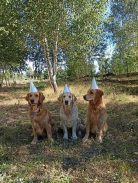 9a2fc9af271cc4f0347cd6b66f711f2d_138x183