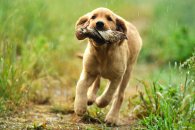 9a59be8937457128920d180cc0e8554a_195