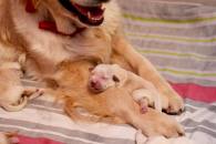 9a869d836bac3f64b52b70202ff589c3_195