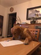 9aa9e4cd79f936cac789be14a66ebb0e_138x184_fill