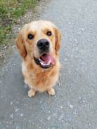 9aeaf3019497c2105caa9a958e6be0bf_138x184_fill