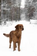 9b42272e0a4f1c2ee3468e3f5f89ecac_130x195_fill