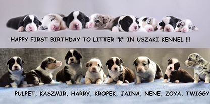 9b54e5029127be74a26b1242b2db348d_fill