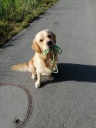 9befe2c610b7a12d841caac891be2cd6_138x184_fill