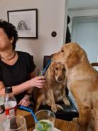 9c071dafe09ef98a50bf6817db7e7678_138x184_fill