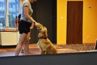 9c295cd366dd4d9404cde29ba7bf615b_195x130_fill