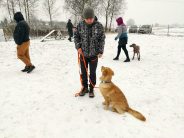 9c333afd4a7b64919dd671ec355970f0_184x138_fill