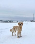 9caaa99e4a737011b23d91f1e4c55ebf_144x180_fill