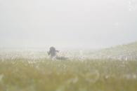 9d170bf63e5b1094e45f8a955d57c3ab_195x130_fill