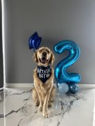 9de05f1b341034a9aef43460ad1c12f4_138x184_fill