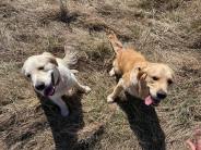 9e40ad7b45f5f202c7396713463d47e8_184