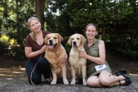 9e572366bdf9ae193f74ef72c2293532_195