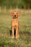 9e9ce09fcaa9d956af7679bfc8d180e8_130x195