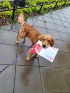 9eb168240537f7ddbe4ac270f722c216_138x184_fill