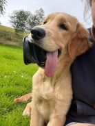 9eecf4343e4e74d541c4eea2edeec9af_138x184_fill