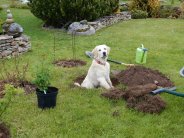 9f7fb4583bfae3e2c7ba0a96c0b63ebe_184x138_fill