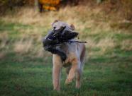 a006747ba166c1fe87083faa48fd2fd9_186