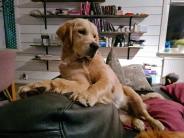 a0173dd48ed43afdd3fa4aaafaea677a_184