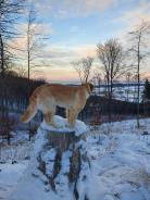 a0d8dca90e93a9d469943eb92d85149e_138x184_fill