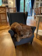 a10a3749f09a85b8ba70cb6a06e23cbf_138x184_fill