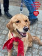 a1472fdeff4988100af9b626b3e3ca24_138x184_fill