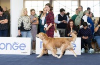 a1b0ca0cbc18f1ee73f35664c00ab2b8_197