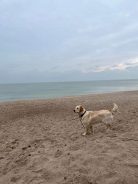 a1e3b3a371ac62b8f58ca5b01cb32325_138x184_fill