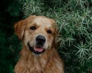 a21b81b0a736f9f546c9313116136957_180x144_fill