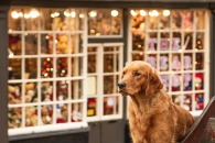 a2e22faa1781f58ad0ed5ce20b3745f0_195