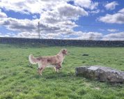 a31f34d4fbbe3b998b0dd343c921b606_178