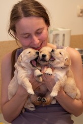 a325121e7249383cc4865fdeee01e551_164x246