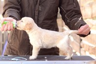 a325816f1d2cd5d4e8cb07fb078b000d_195x130_fill