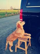 a34883ea48fd19c934b124bcad747dc1_138x184