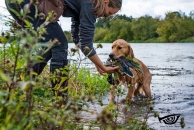 a378e8611360d4a0cc4e23fb6e8ca4d7_194