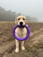 a3b206d0a696d1fc04890f9e23181dde_138x184_fill