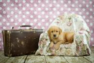 a3c0c8731b9356971b943b0ae1fba5d0_194