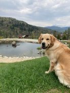 a3d4da8326c438748a0bf909955e205c_138x184_fill