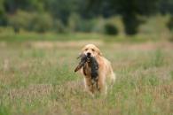 a439b8f5495cfb12f17e6149caf133a0_195x130_fill