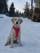 a4829ed7ffe181b2563719ac0ae59540_138x184_fill