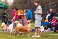 a4c2b10962d13ea4a3a13f1608231d31_195