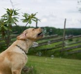 a4f5c23446ea225b78d3eff515bf23d0_167