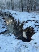 a55641baedd67efbafe4f86b40341b40_138x184_fill